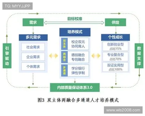 聚焦投资型企业家成长路径与创新驱动战略实践模式研究探析框架研